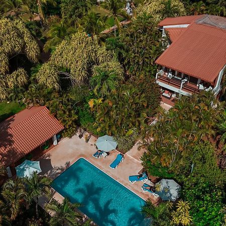 Hotel Villa Del Sol โกโก ภายนอก รูปภาพ