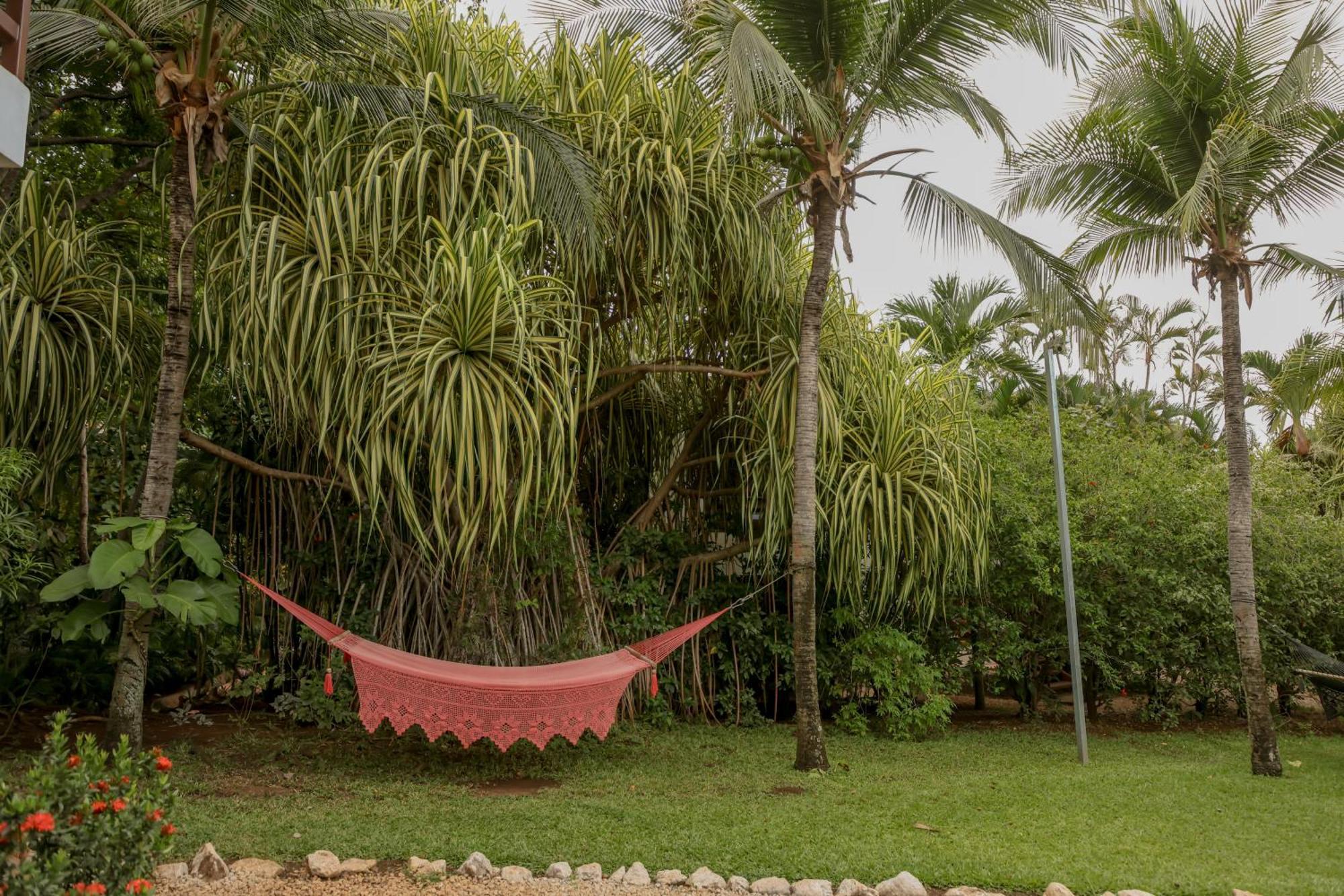 Hotel Villa Del Sol โกโก ภายนอก รูปภาพ