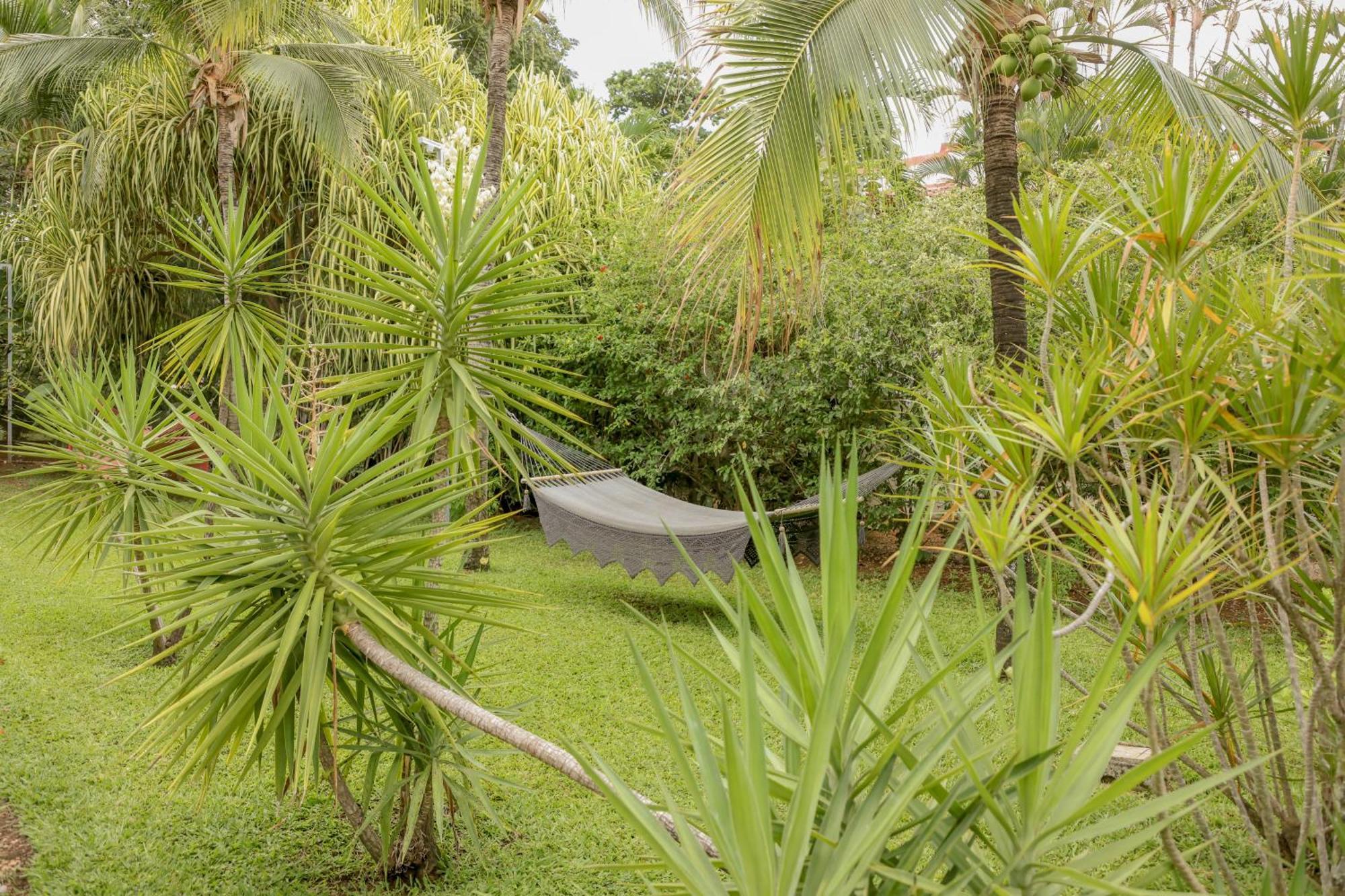 Hotel Villa Del Sol โกโก ภายนอก รูปภาพ