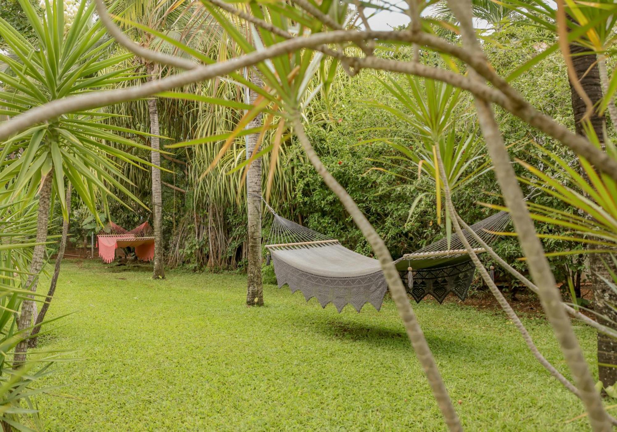 Hotel Villa Del Sol โกโก ภายนอก รูปภาพ