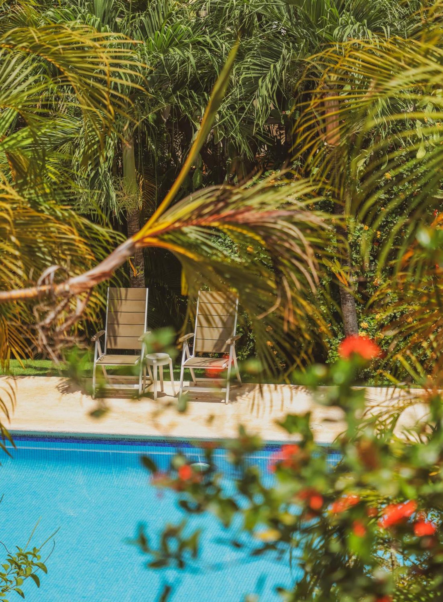 Hotel Villa Del Sol โกโก ภายนอก รูปภาพ